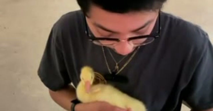 Goose Sample Collection